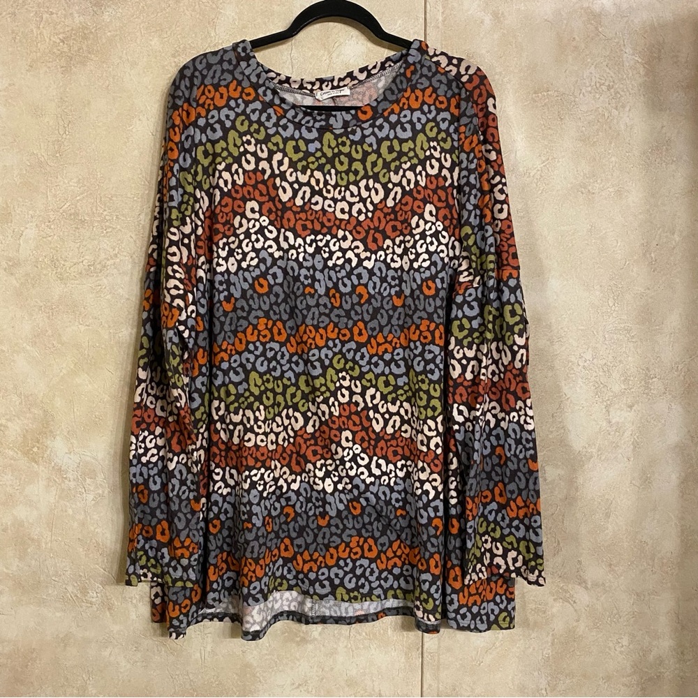 Leopard Print Long Sleeve Oversized Top